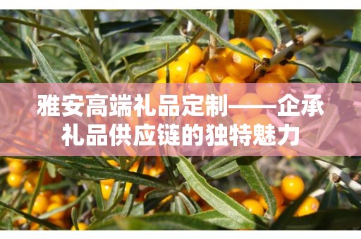雅安高端礼品定制——企承礼品供应链的独特魅力